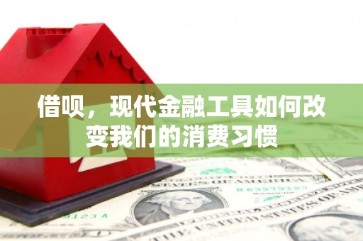 大安借呗，现代金融工具如何改变我们的消费习惯