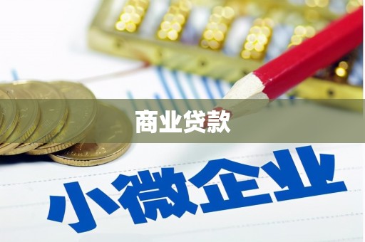 利辛商业贷款