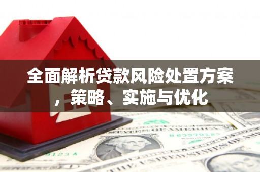 大溪全面解析贷款风险处置方案，策略、实施与优化
