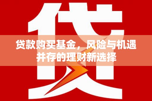 贡井贷款购买基金，风险与机遇并存的理财新选择