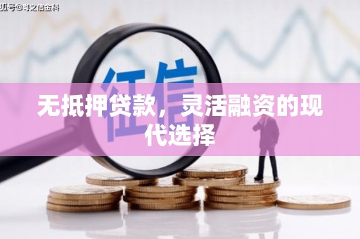 昌宁无抵押贷款，灵活融资的现代选择