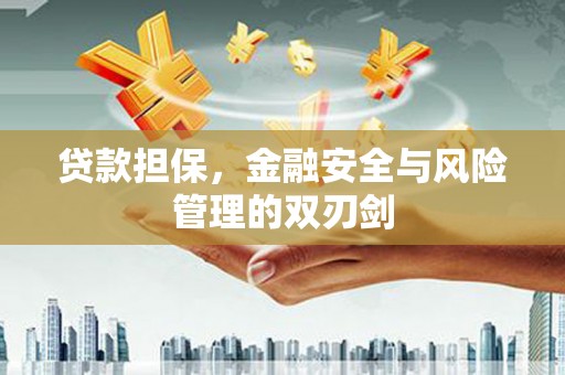 新和贷款担保，金融安全与风险管理的双刃剑
