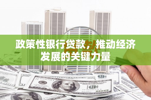 安岳政策性银行贷款，推动经济发展的关键力量