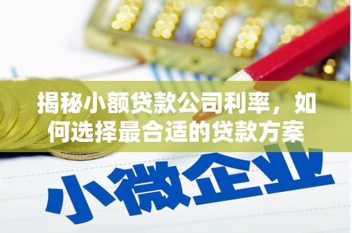 北区揭秘小额贷款公司利率，如何选择最合适的贷款方案