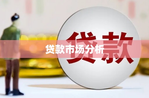泌阳贷款市场分析