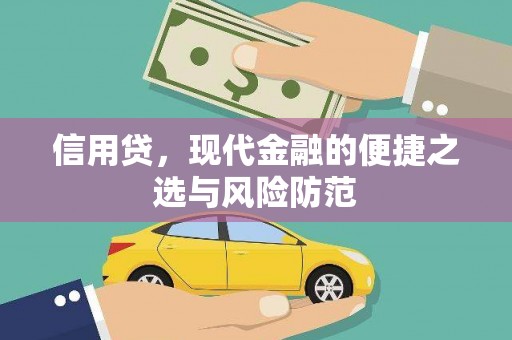 延川信用贷，现代金融的便捷之选与风险防范