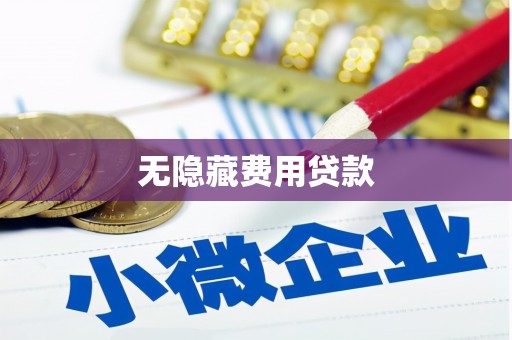 善化无隐藏费用贷款