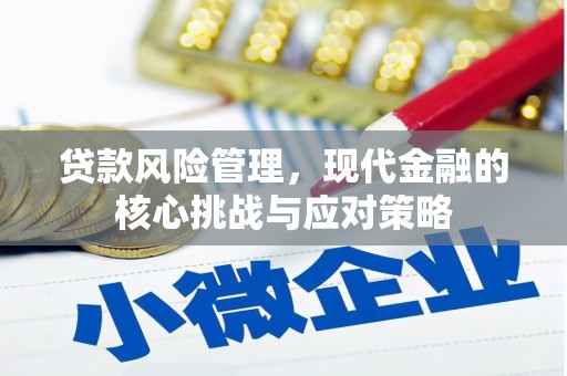 右江贷款风险管理，现代金融的核心挑战与应对策略