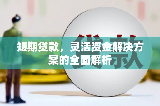 竹山短期贷款，灵活资金解决方案的全面解析