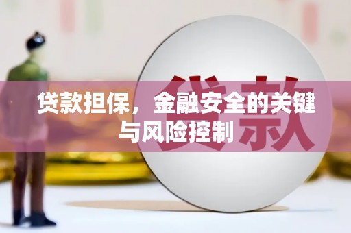 元氏贷款担保，金融安全的关键与风险控制