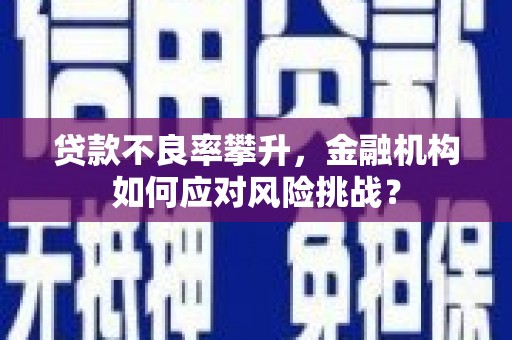 宁阳贷款不良率攀升，金融机构如何应对风险挑战？