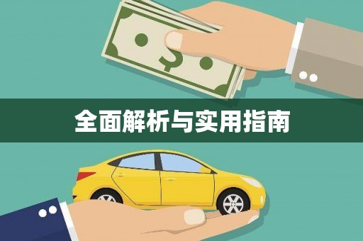 新会全面解析与实用指南