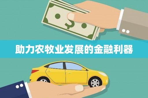 南州助力农牧业发展的金融利器