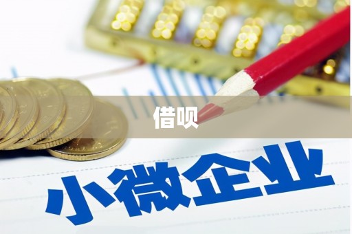 嵊泗借呗