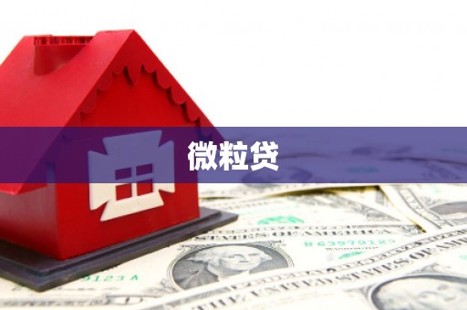 关山微粒贷