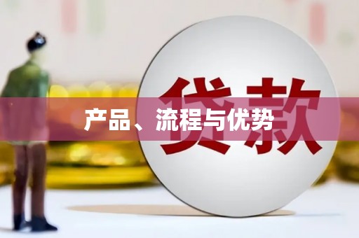 巴楚产品、流程与优势