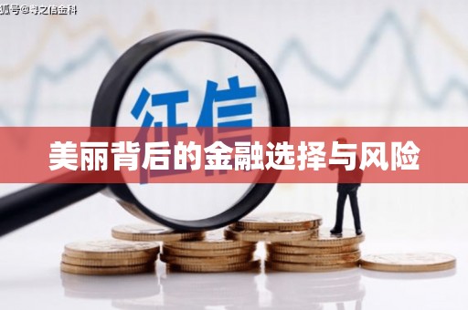 王益美丽背后的金融选择与风险