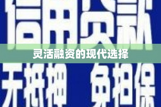 麻山灵活融资的现代选择