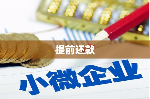 滴道提前还款